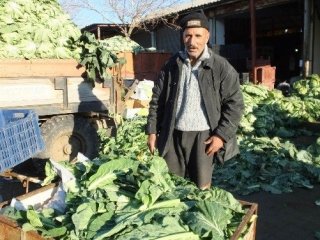 Karnabahar Üreticinin Elinde Kaldı