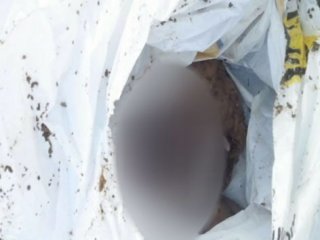 İnsanlık poşete girdi!