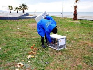 "Minik Dostlarımız Üşümesin" Kampanyası