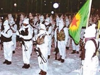Kış Koşullarına Uyumlu Tek Tip Hainler!