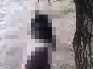 Gökçeada'da Kan Donduran Görüntü