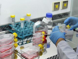 İlaçta molekül üretimine Türk imzası