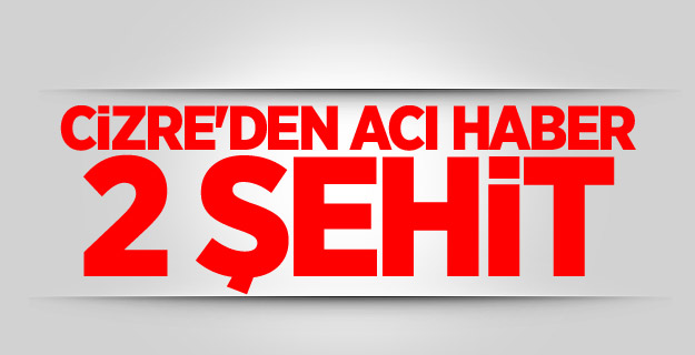 Cizre'den Acı Haber: 2 Şehit