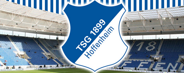Hoffenheim Yeni Teknik Direktörünü Açıkladı