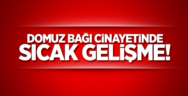 Domuz bağı cinayetinde 3 tutuklama