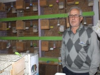 Burhaniyeli Marangozun Kuş Tutkusu