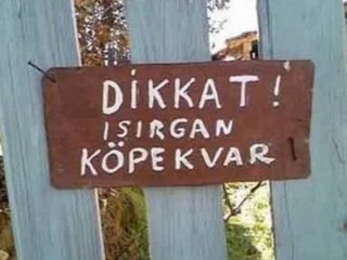 Sosyal Medyada Paylaşım Rekorları Kırıyor!