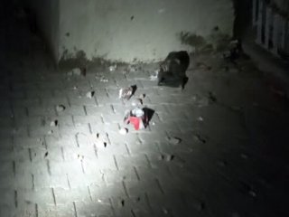 Batman'da bir okula el yapımı bomba atıldı