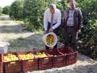 Mersin’den Cerattepe’ye Limon Seferberliği