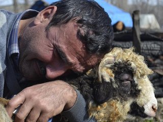 Sadece 'Yadigar' Kurtuldu