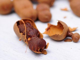 Osmanlı'nın Sağlık Sırrı!