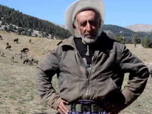 Eşek Sütüyle Zengin Olacaktı Ama..