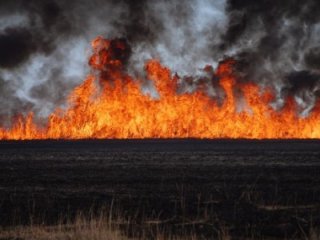 Göksu Deltası'nda Yangın
