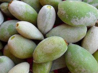 El Yakan Çağla Gramla Satılıyor