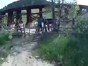 Yılan kameraya saldırdı