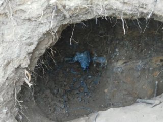 kaçak kazı yapan 5 kişi suçüstü yakalandı