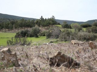 Çanakkale'de bir asır sonra ortaya çıktı