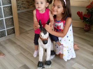 Adanalı kardeşler İstanbul'da yaralandı