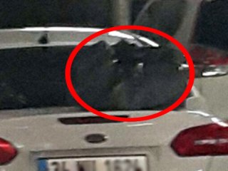 Atatürk Havalimanı'nda hareketli saatler