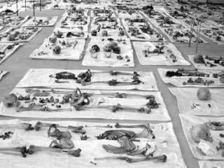 Srebrenitsa katliamının fotoğrafları ortaya çıktı