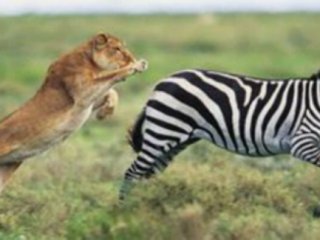 Sosyal medyada bu video konuşuluyor!