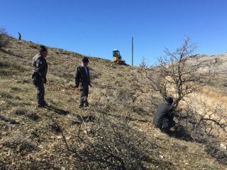 Yaban Hayvanlarına doğal ortam!