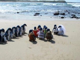 Her gün karşınıza çıkmayacak ilginç fotoğraflar