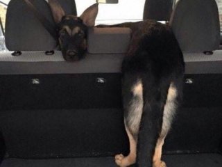 Şaşırtan yol manzaraları