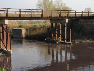 Yeni doğmuş bebeği bakın ne yaptı