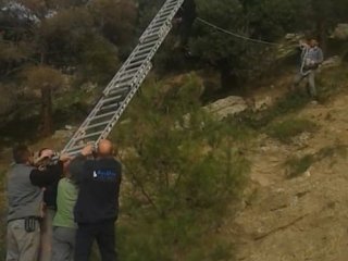İnatçı keçi tellere takıldı