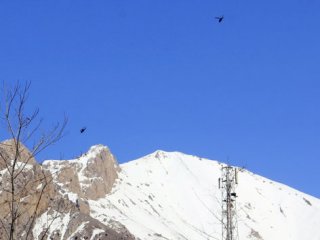 Hakkari sınır hattında hareketli saatler