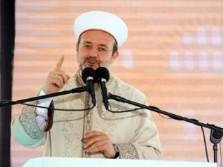 Görmez'den ABD'ye 'sivrisinekli' sitem