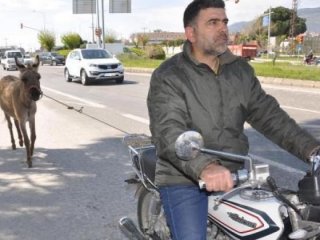 eşeğe eziyet cezasız kalmadı