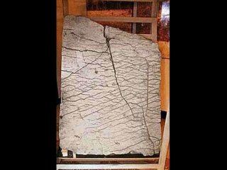 Bu olayları bilim adamları bile açıklayamıyor