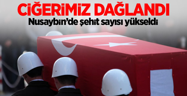 Nusaybin'de şehit sayısı 3'e yükseldi