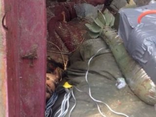 Asker gördüğüne inanamadı!