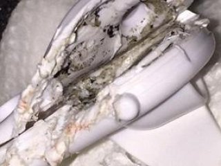 Dünya bu görüntüyü konuşuyor!