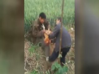 Yavuz hırsız ev sahibini bastırdı!