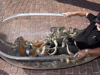 Dünyanın en ilginç rekorları!