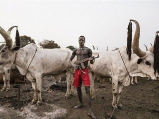 Bu kabile diğerlerinden farklı