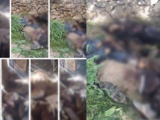 Şemsiyeli 12 terörist öldürüldü