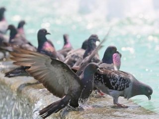 Ramazan'da hava nasıl olacak?