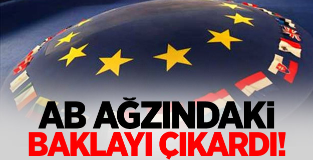 Avrupa Birliği'nden flaş dokunulmazlık açıklaması