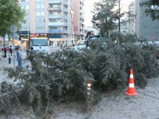 Kırmızı ışık hayat kurtardı