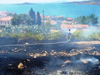 Sigara izmariti ağaçları küle çevirdi