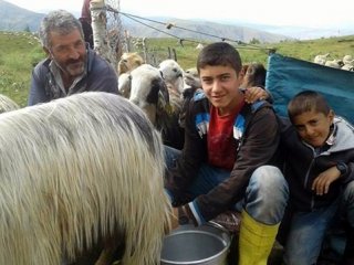 Çoban Mahir dağ başında çalışarak TEOG birincisi oldu