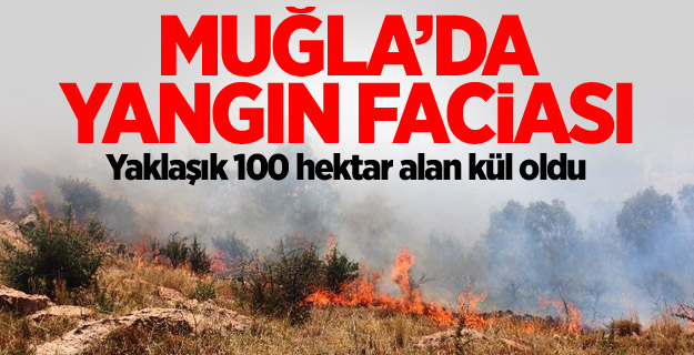 Bodrum'da korkutan yangın