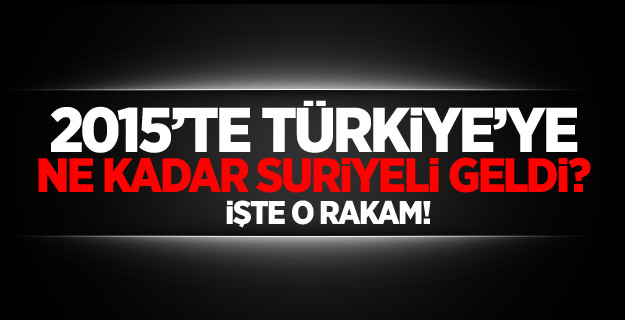 2015'te 2,5 milyon Suriyeli Türkiye'ye sığındı