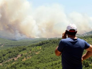 Bakan Eroğlu'ğdan yangın açıklaması