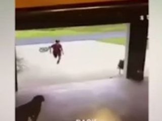 Komşusunun köpeğini gizli gizli seven çocuk